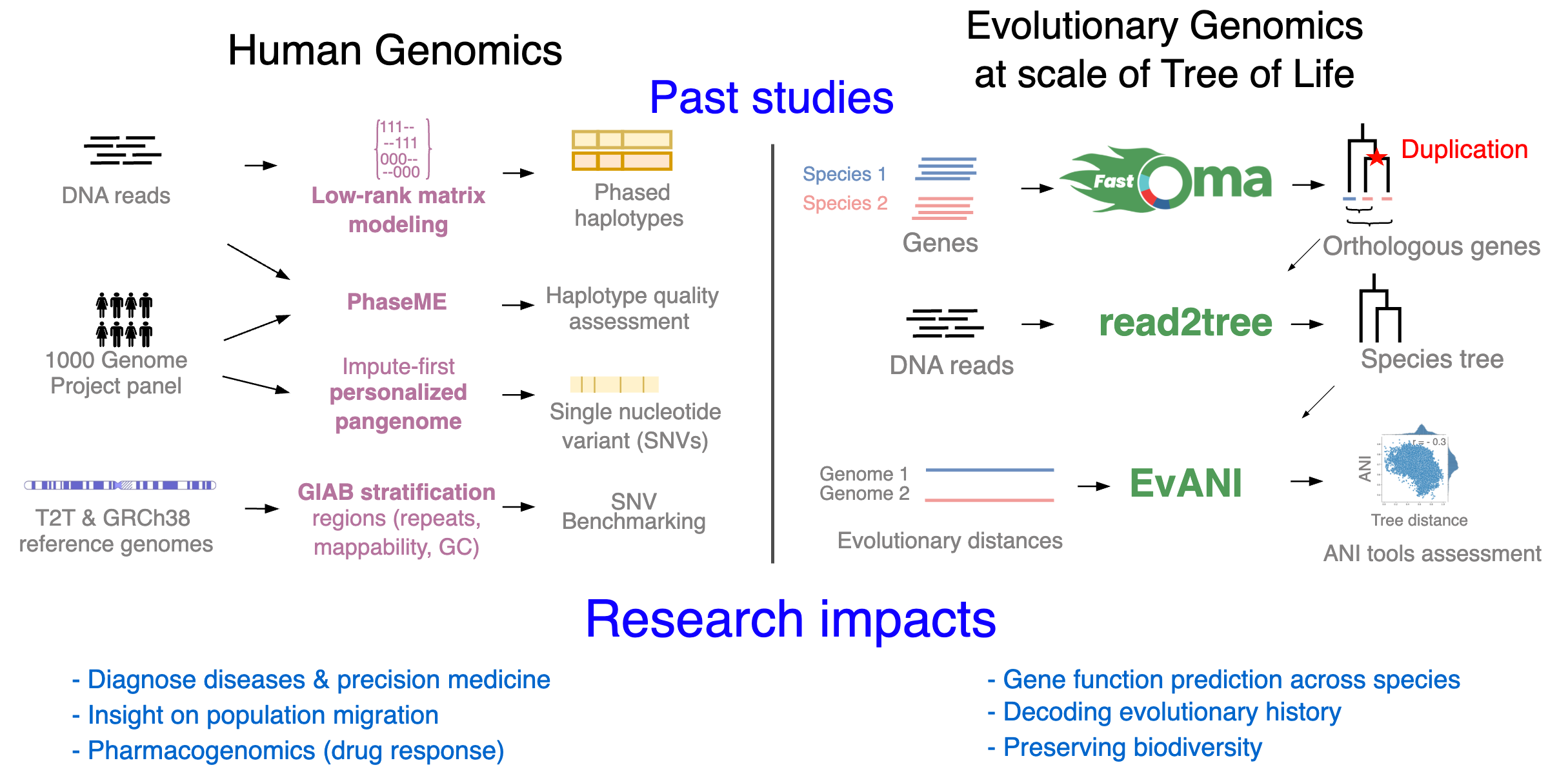 Past Research studies of Dr. Sina Majidian, Faculty candidate